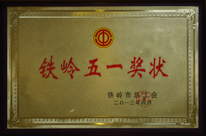 铁岭五一奖状