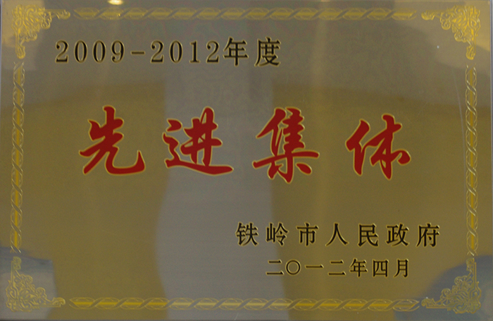 先进集體(tǐ)